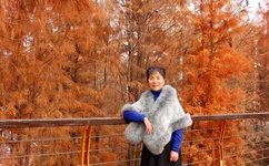 天天影视色欲 影视